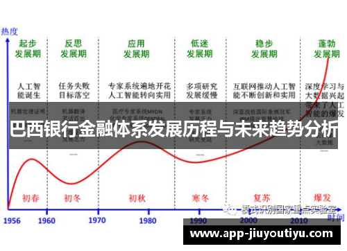 巴西银行金融体系发展历程与未来趋势分析